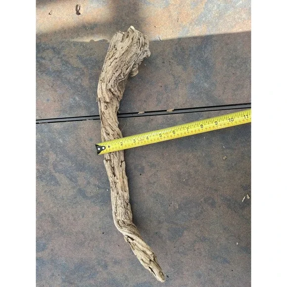 Natural Driftwood for Plants Terrarium Taxidermy Art Projects - Picture 4 of 4